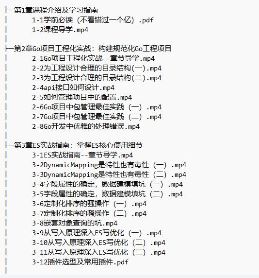 海量數(shù)據(jù)高并發(fā)場景 構建Go+ES8企業(yè)級搜索微服務 視頻教程 下載 圖1